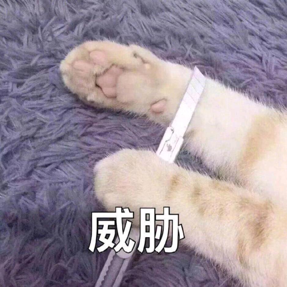 徐生