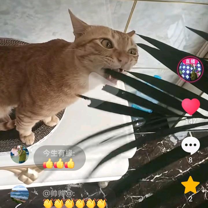 单身321！