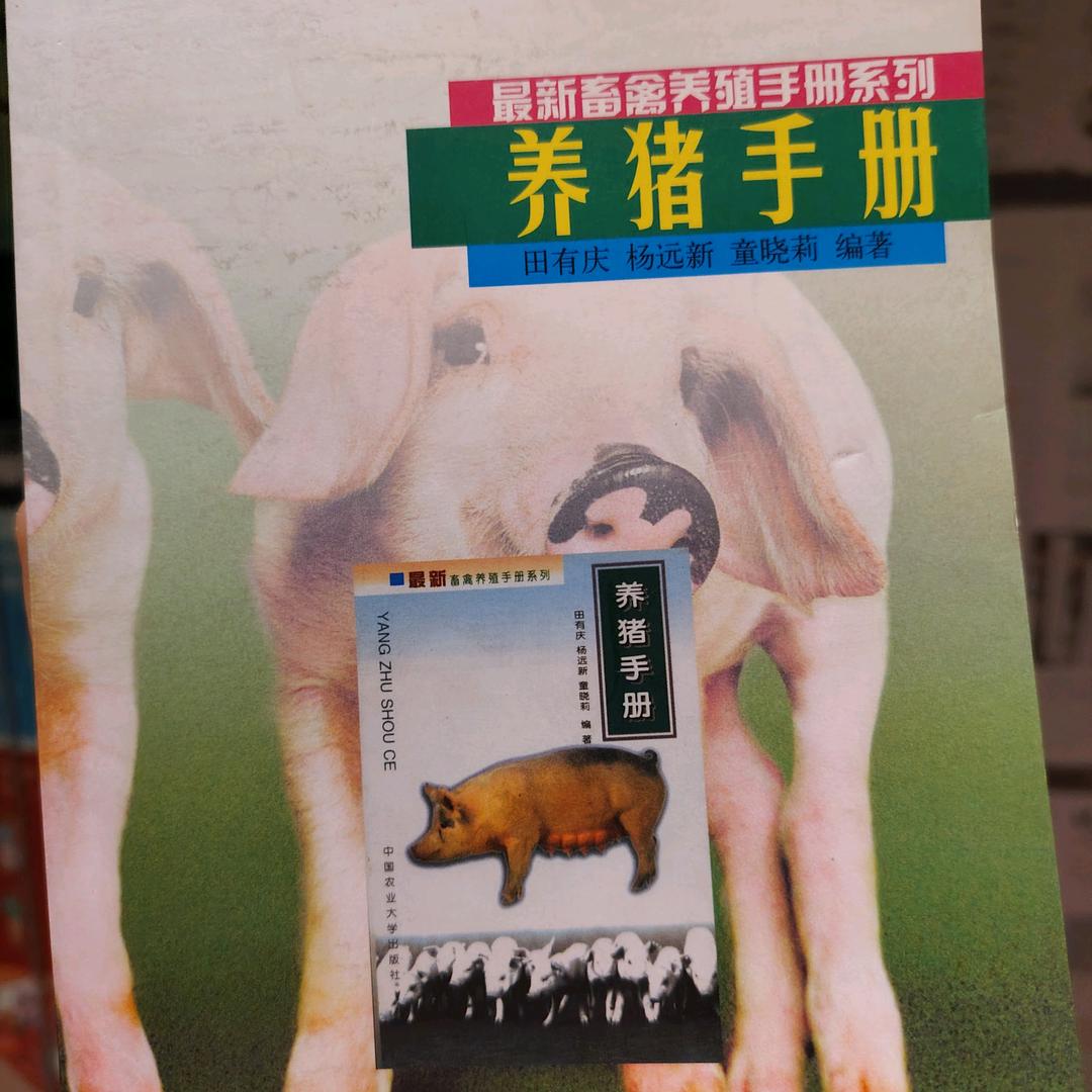 是小夏ya