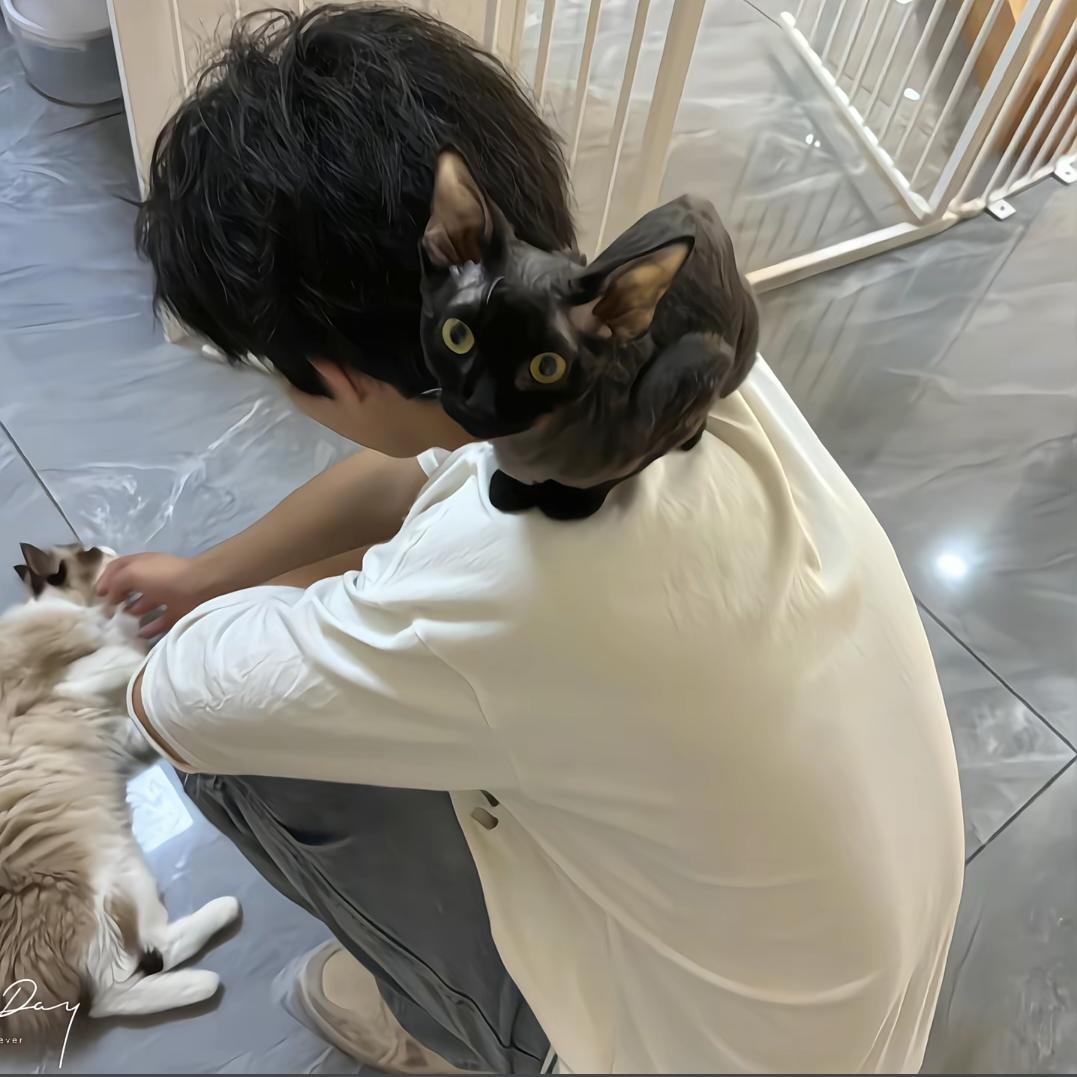 沉睡小狗