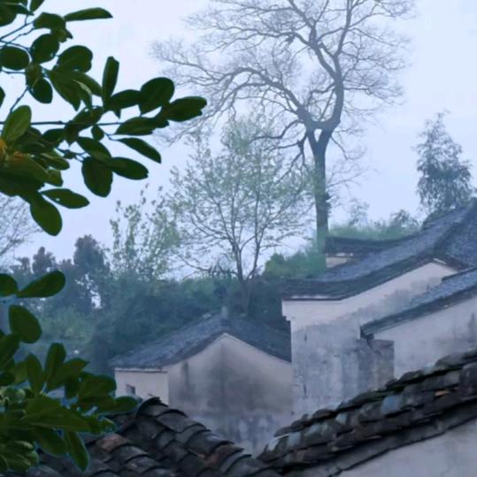 心想事辰