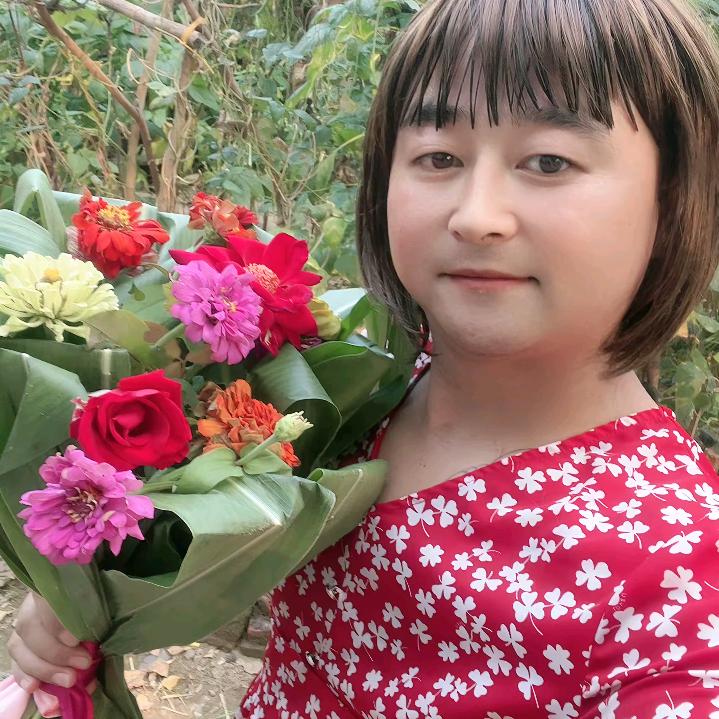 苍蝇的娘～梅金