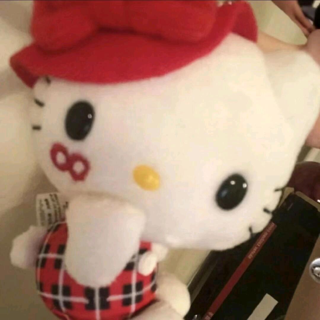 遇雪不遇你
