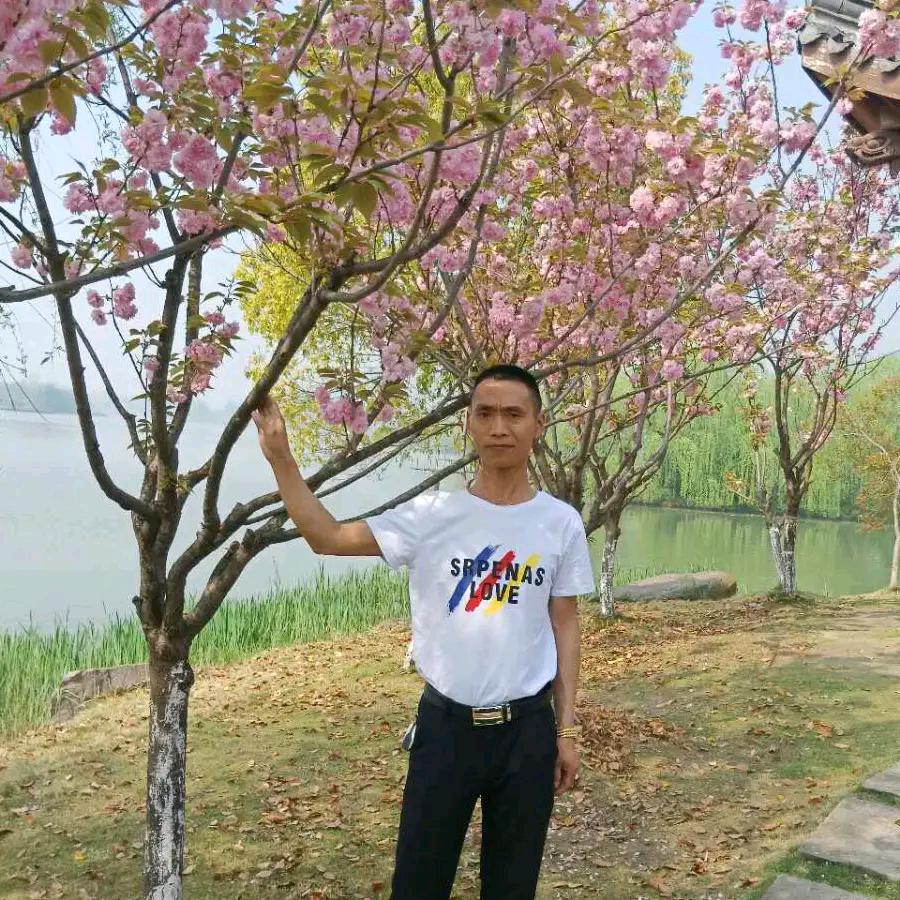 你就是我的最爱
