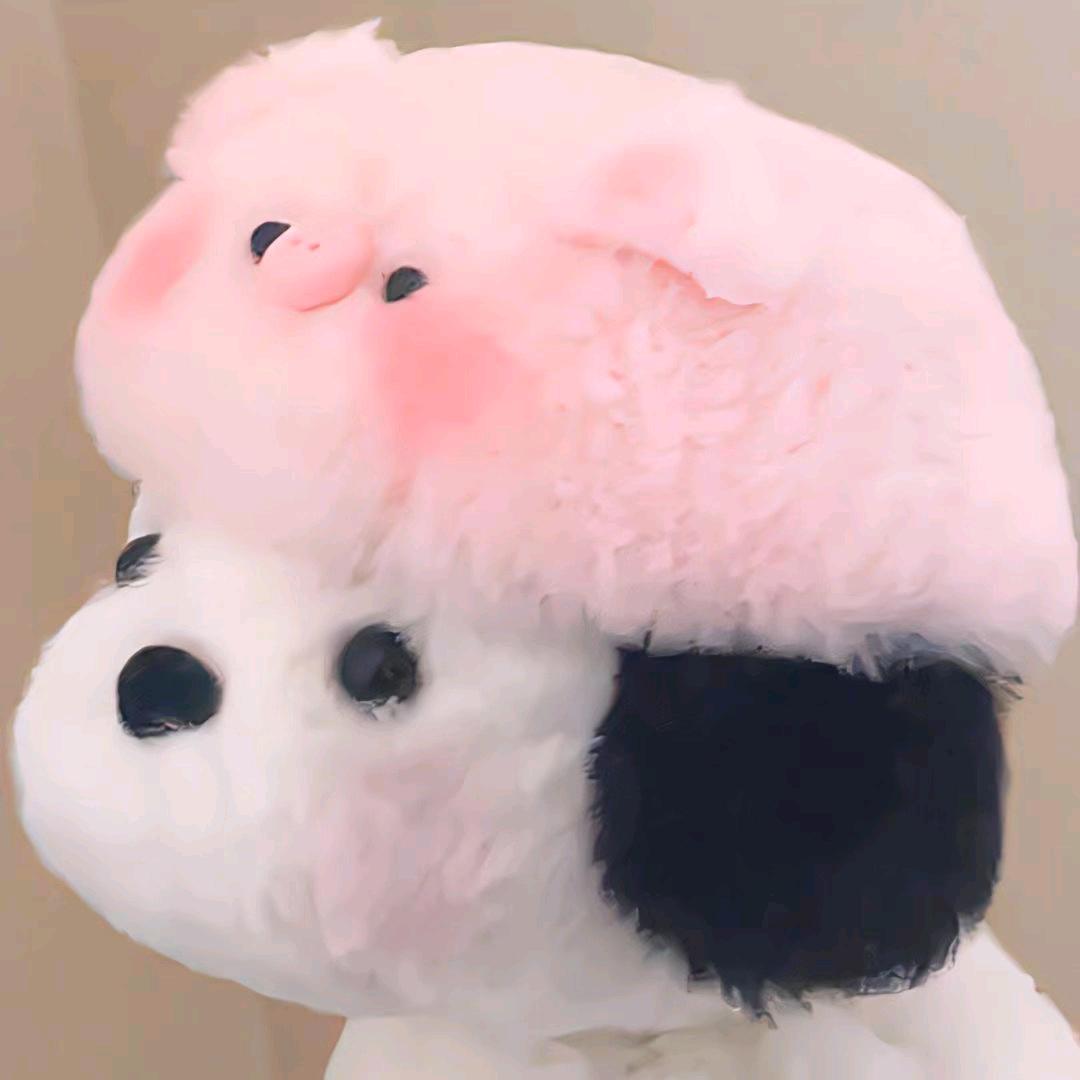 小柒