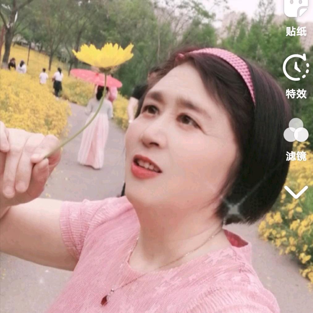 枫叶姐