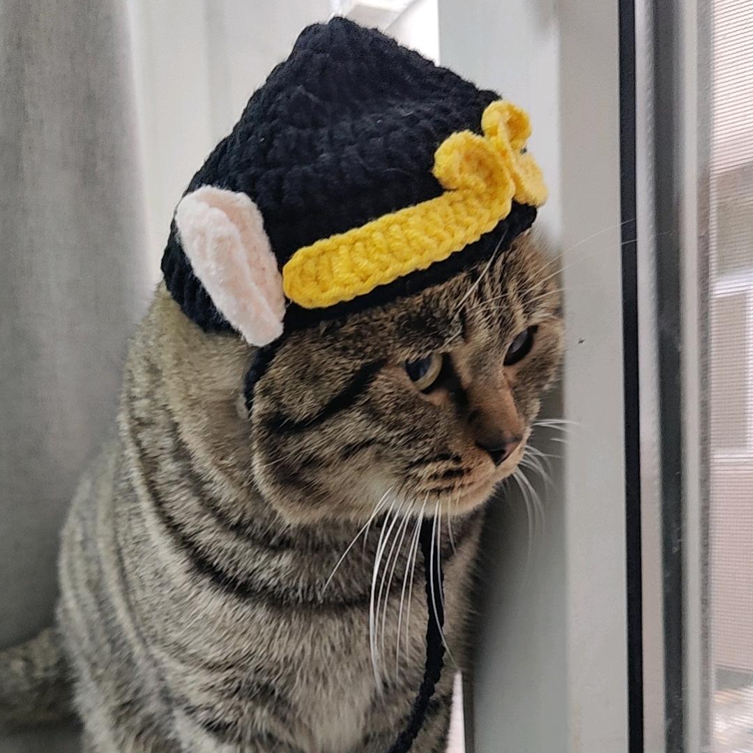 子枫