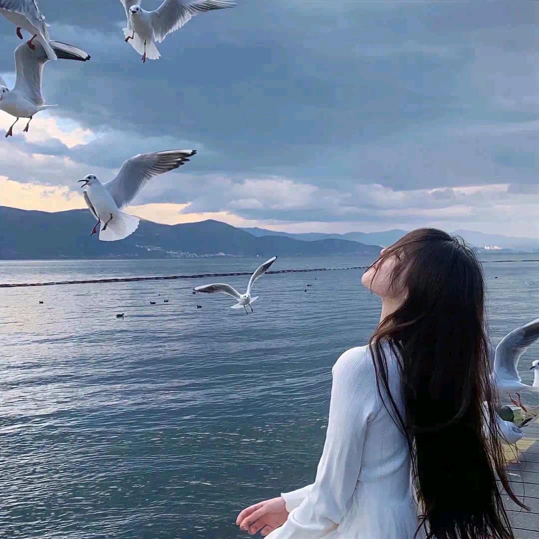 三妹🌹🌹