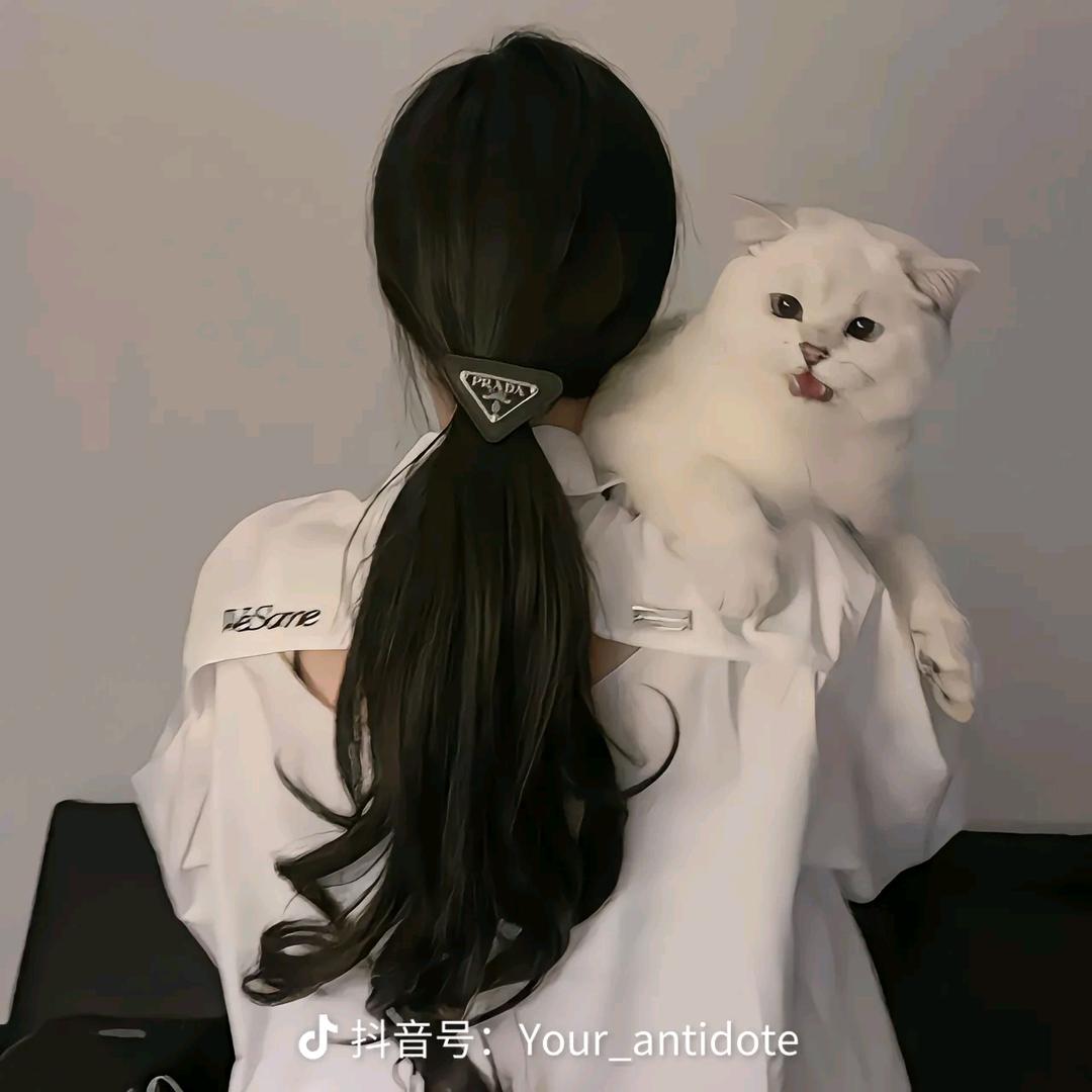 遮泽百货