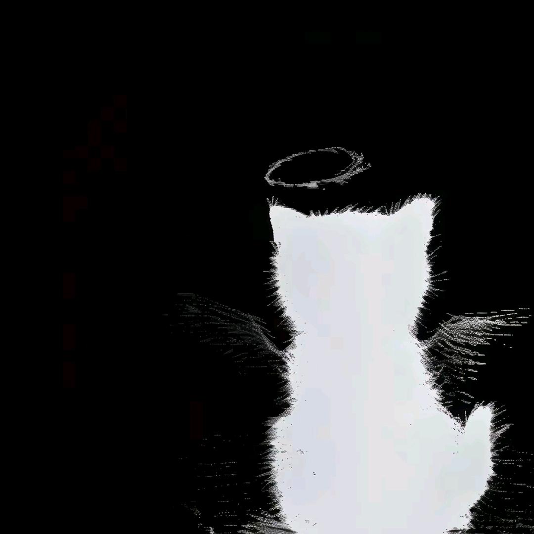 L-VE