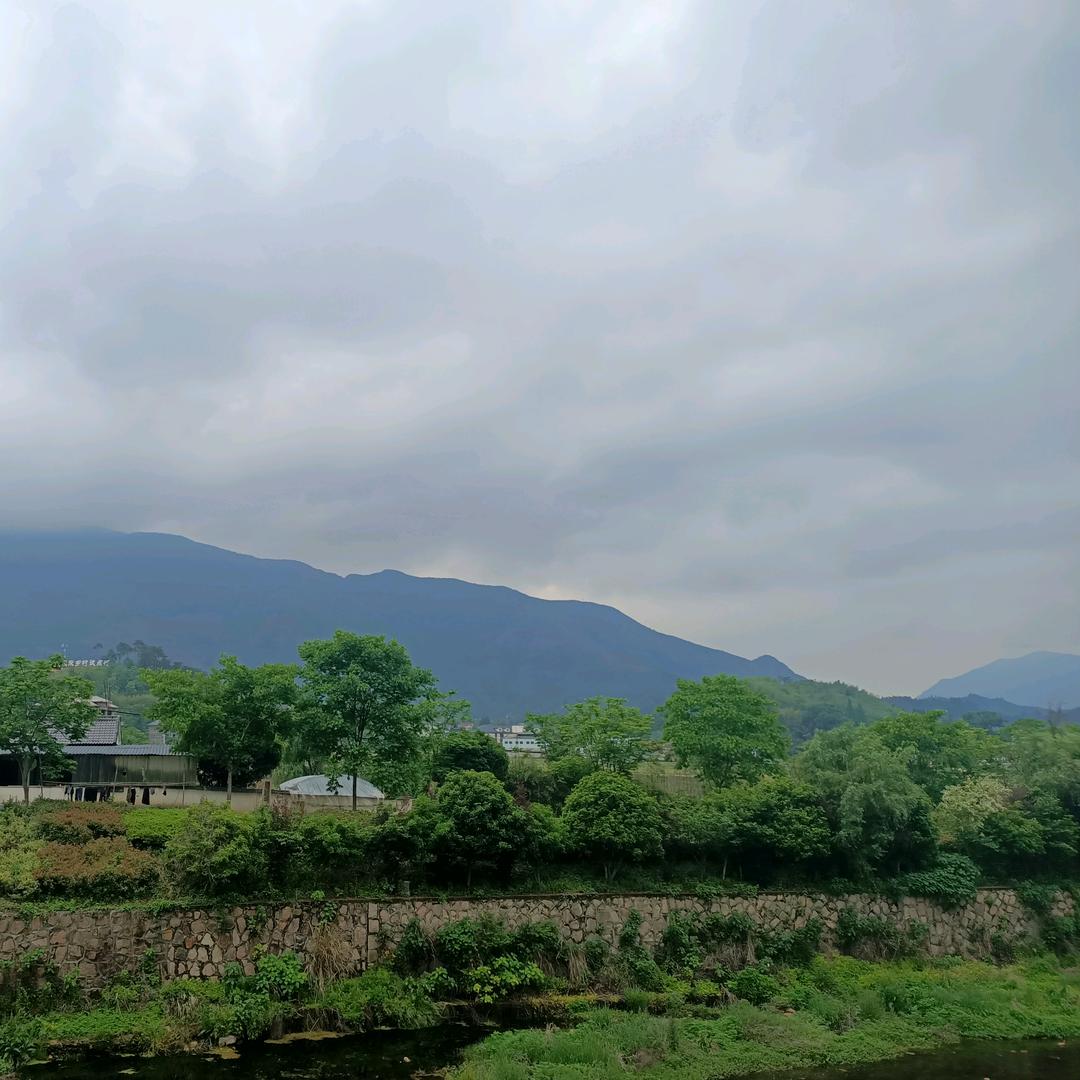 张留白