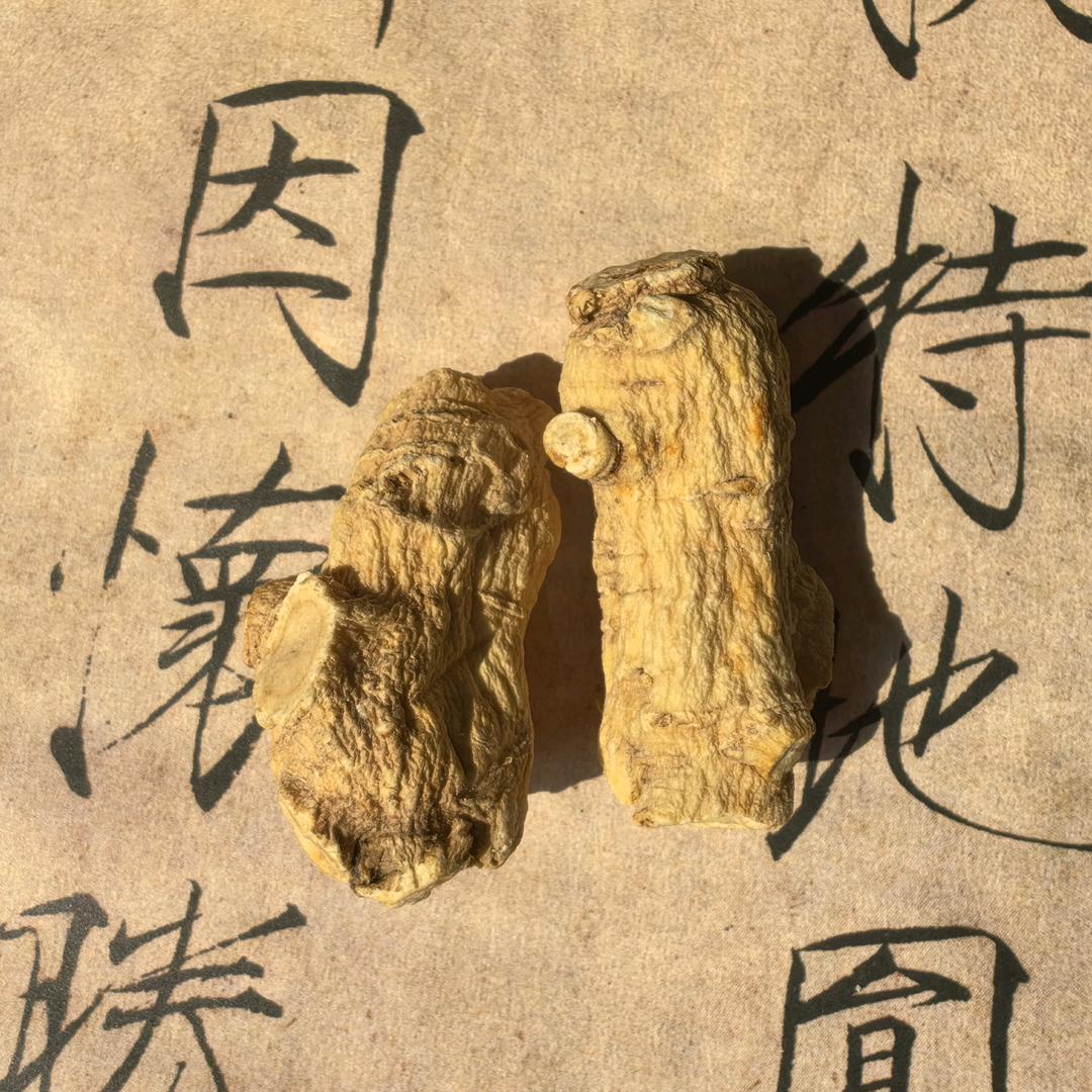 逍遥游本草