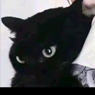 狗東