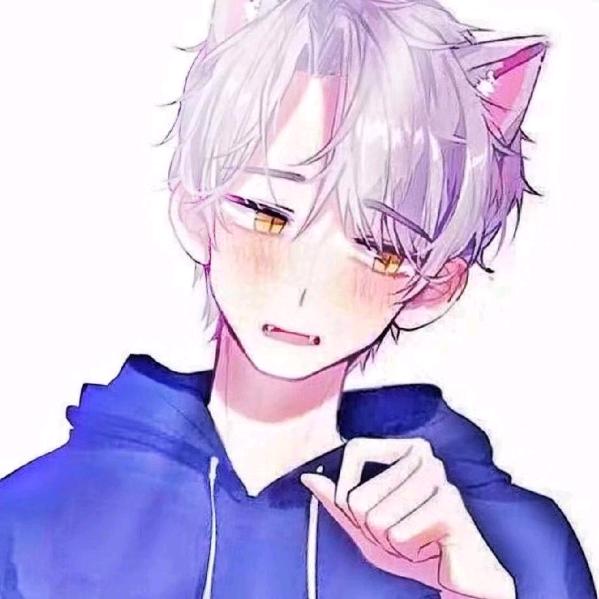 豆玖