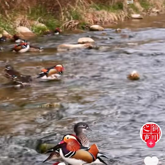 武汉市官谈商贸有限公司