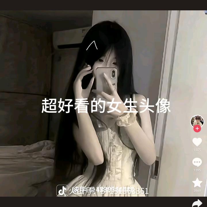蝶舞&蝶梦