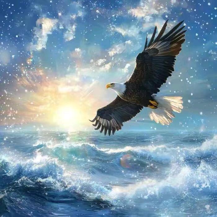 如日方升🦅