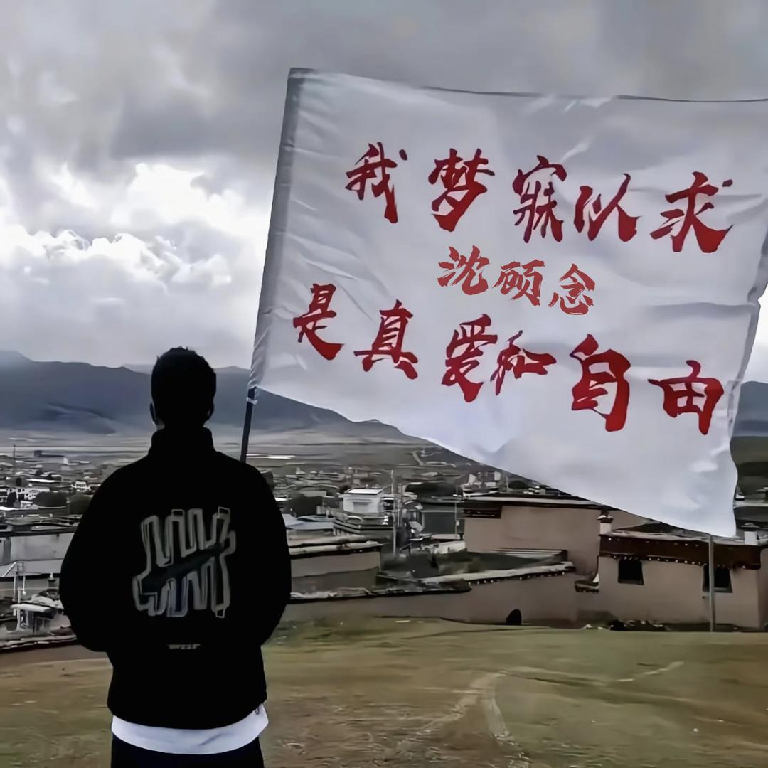 沈顾念