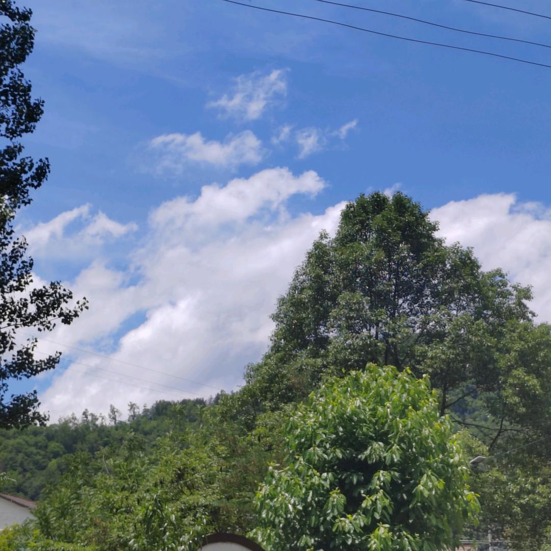 鑫景源小