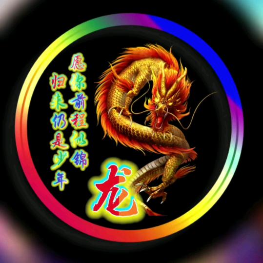 天上龙肉🥩