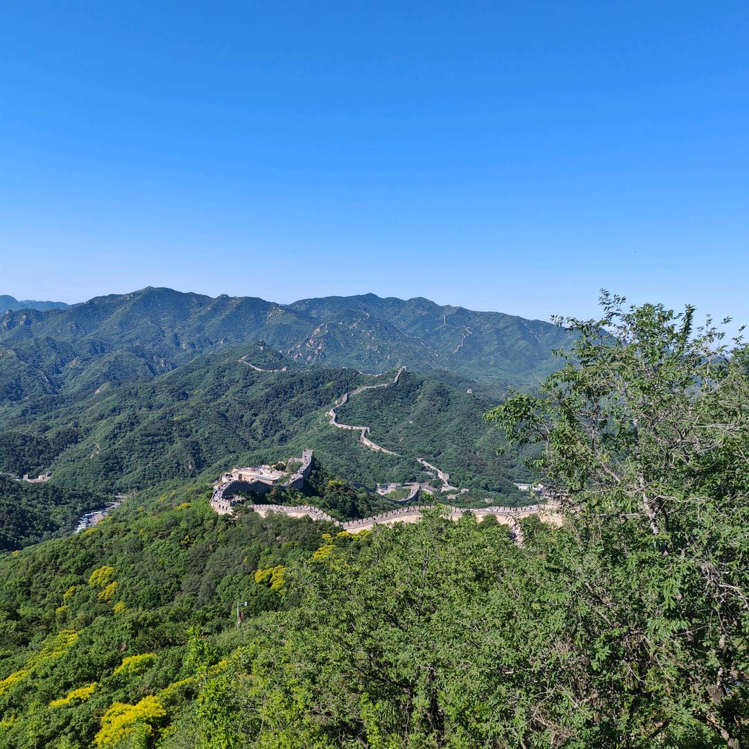 宁东