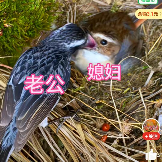 @~苏陌染~