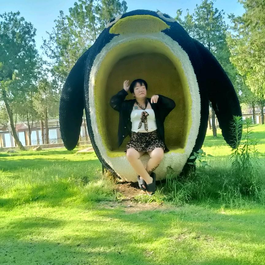 小晶晶