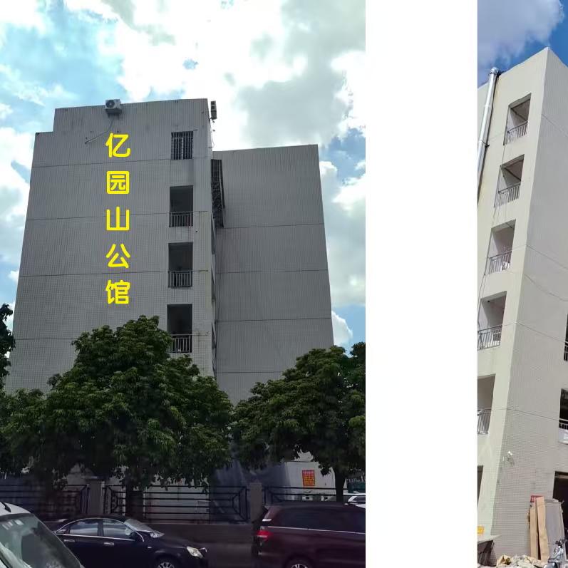 流氓山鸽