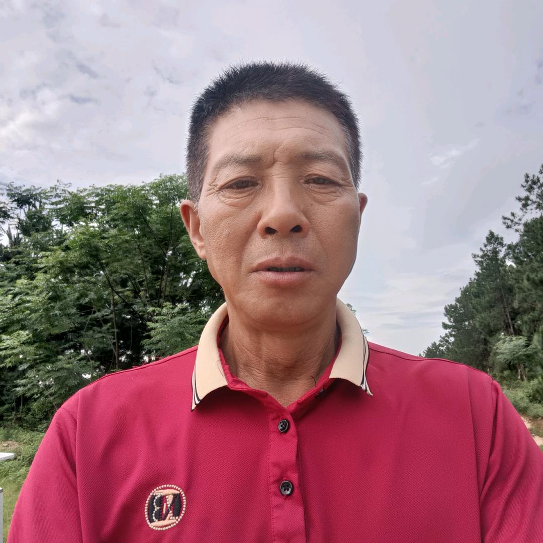 自由哥1