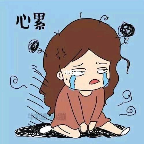 @雪儿🍋