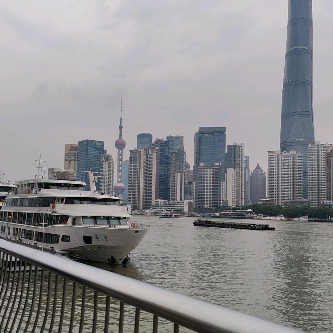 窦豆