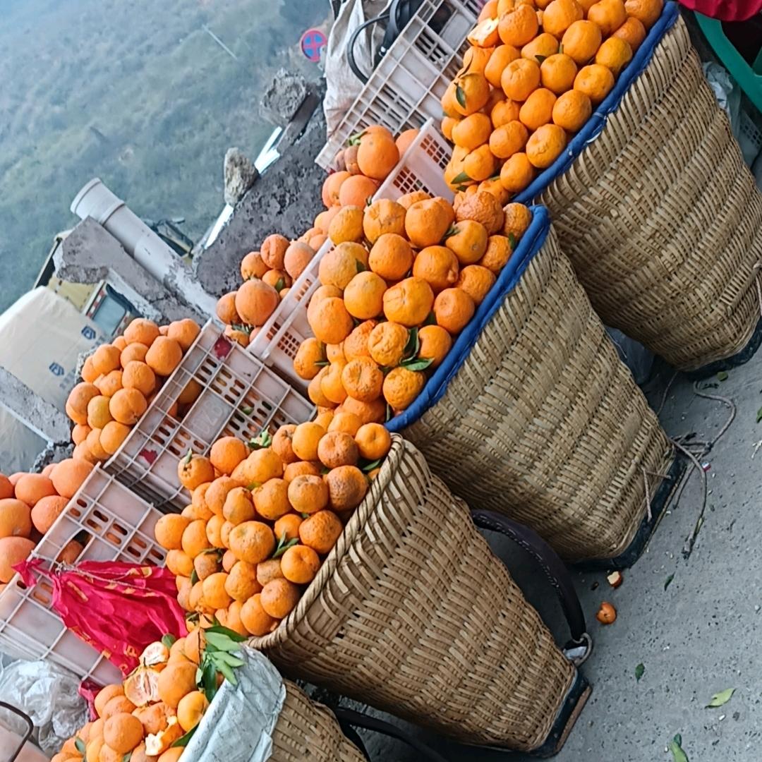 农村生活