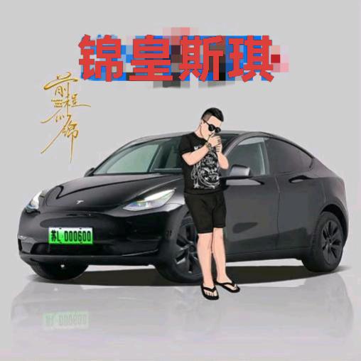 锦皇斯琪