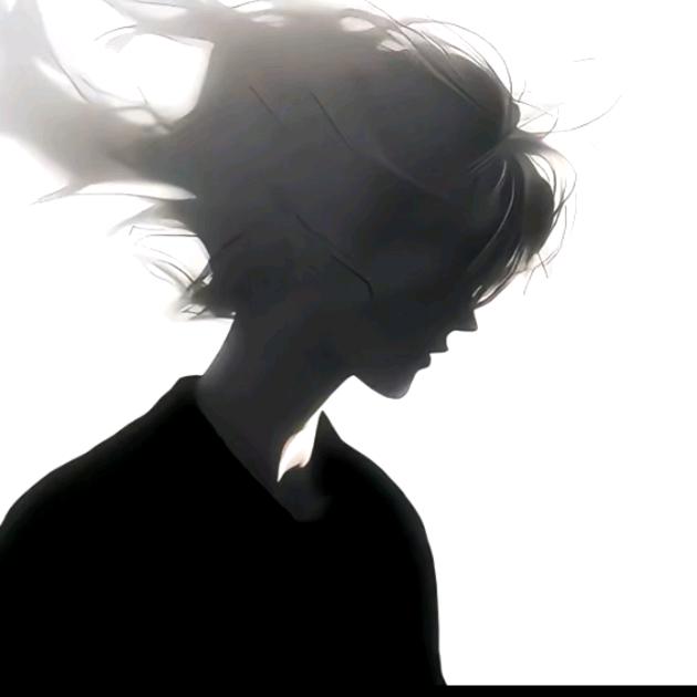 老盖子
