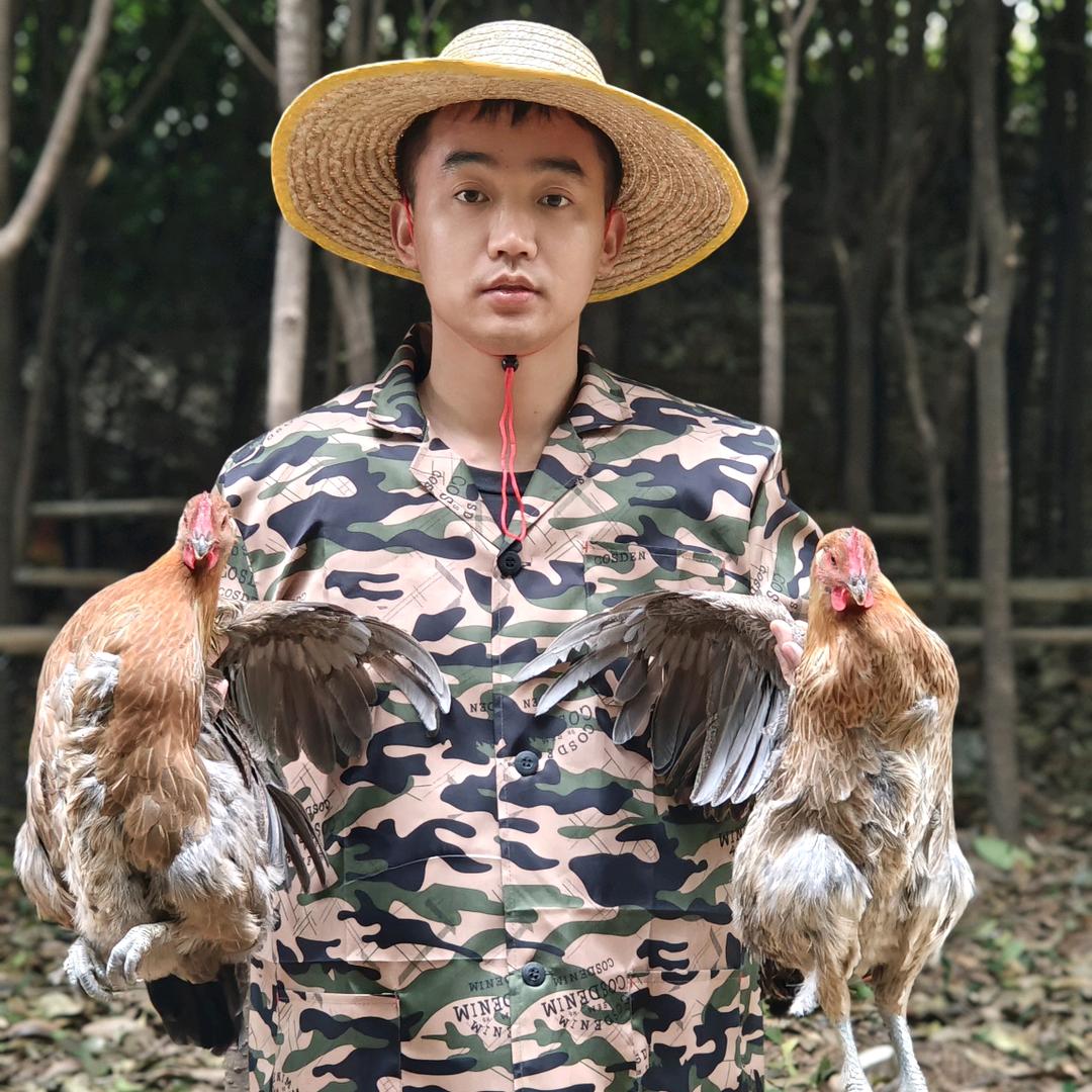 恬恬诺诺