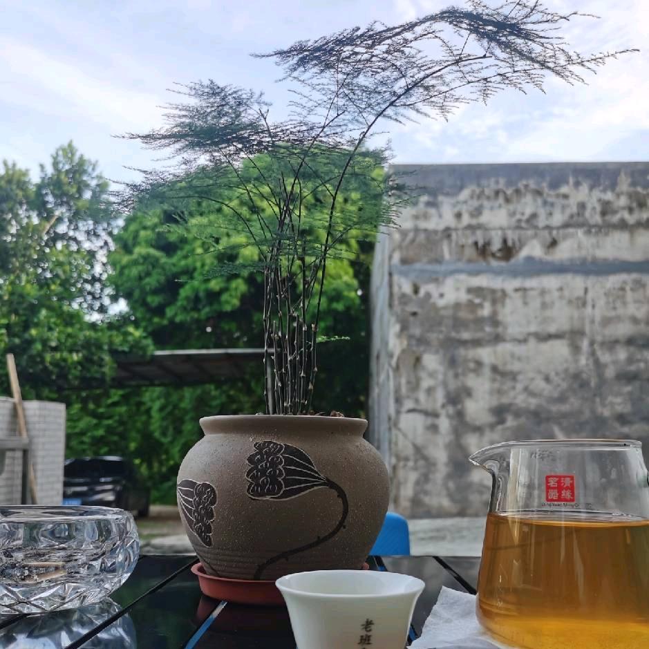 初听晨雨