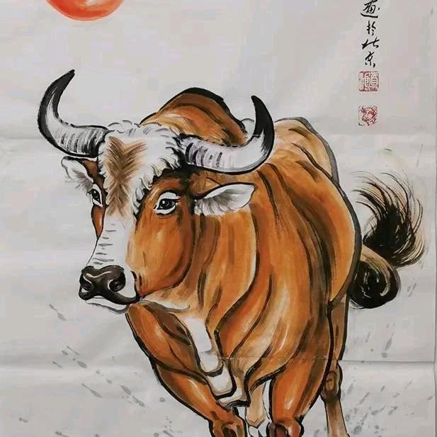 兰花花的兰