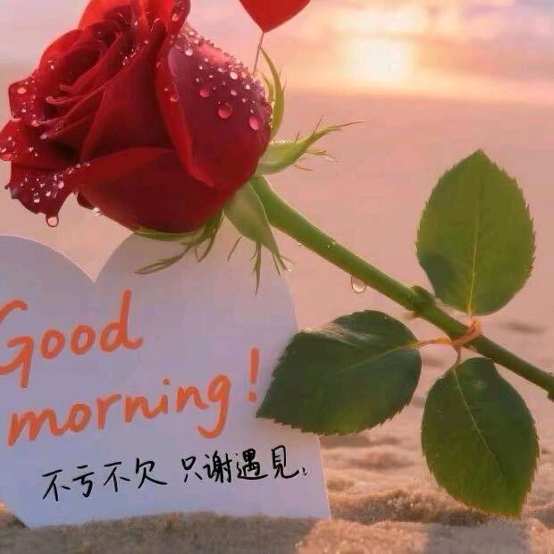 💞点点&