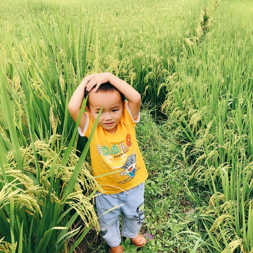 小妹
