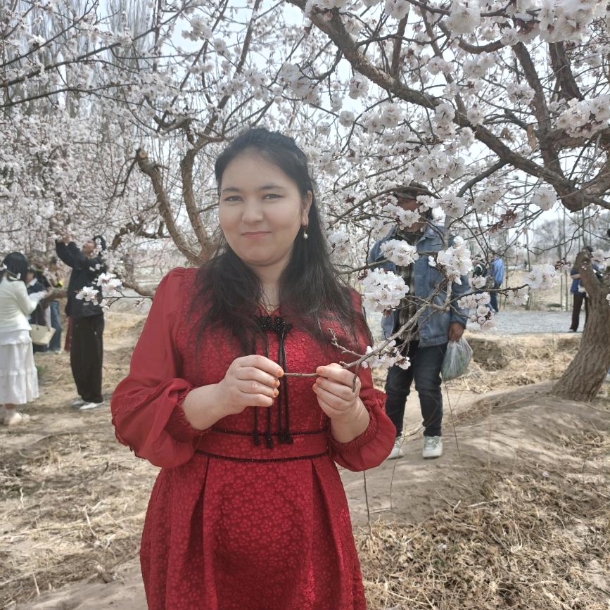 古哈尔妮萨