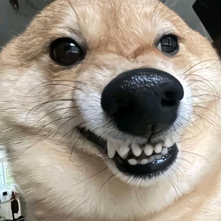 红白