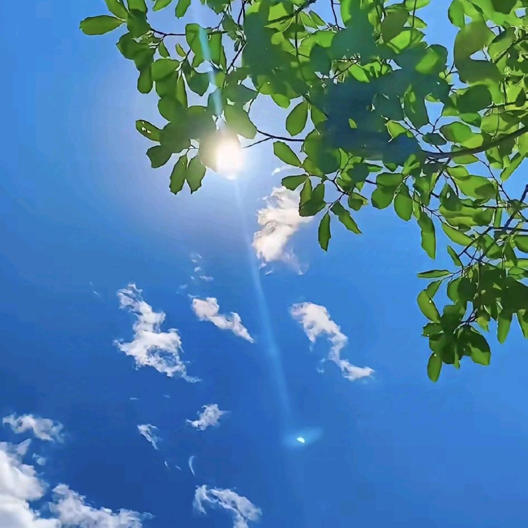 ꧔ꦿ᭄ 回忆ঞᩚ落空꧔ꦿ᭄ ♥