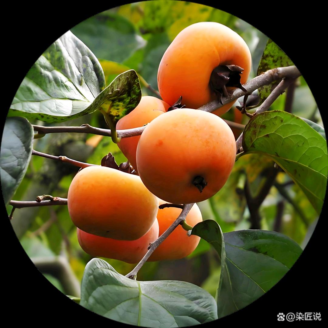 潘翠玲