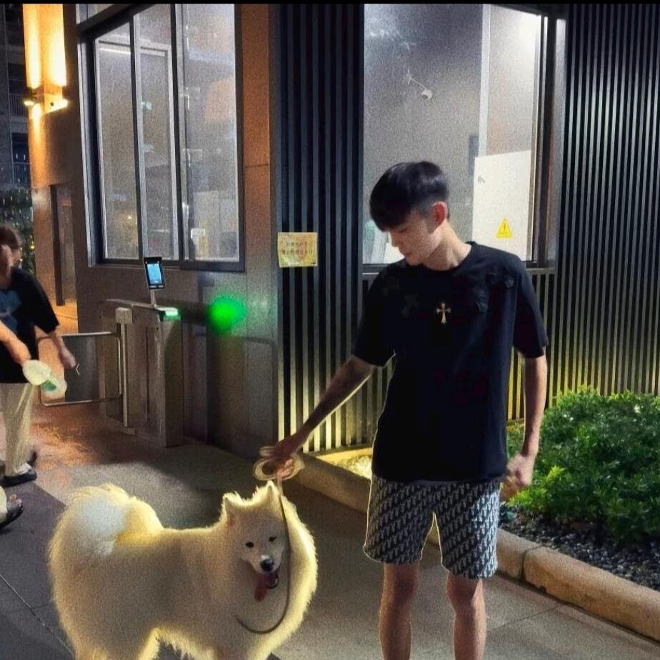 詞