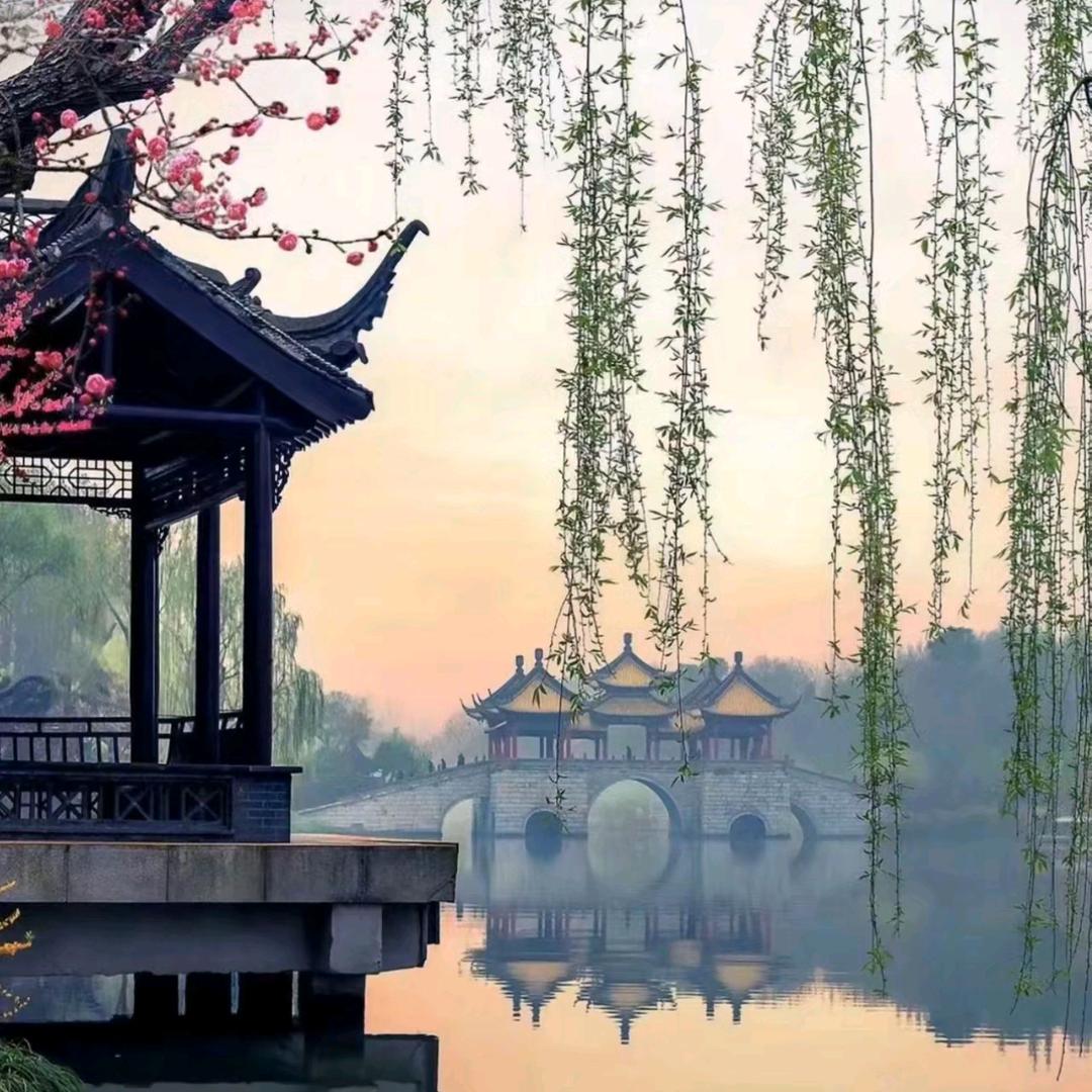 小淘🇨🇳→_→🇨🇳气