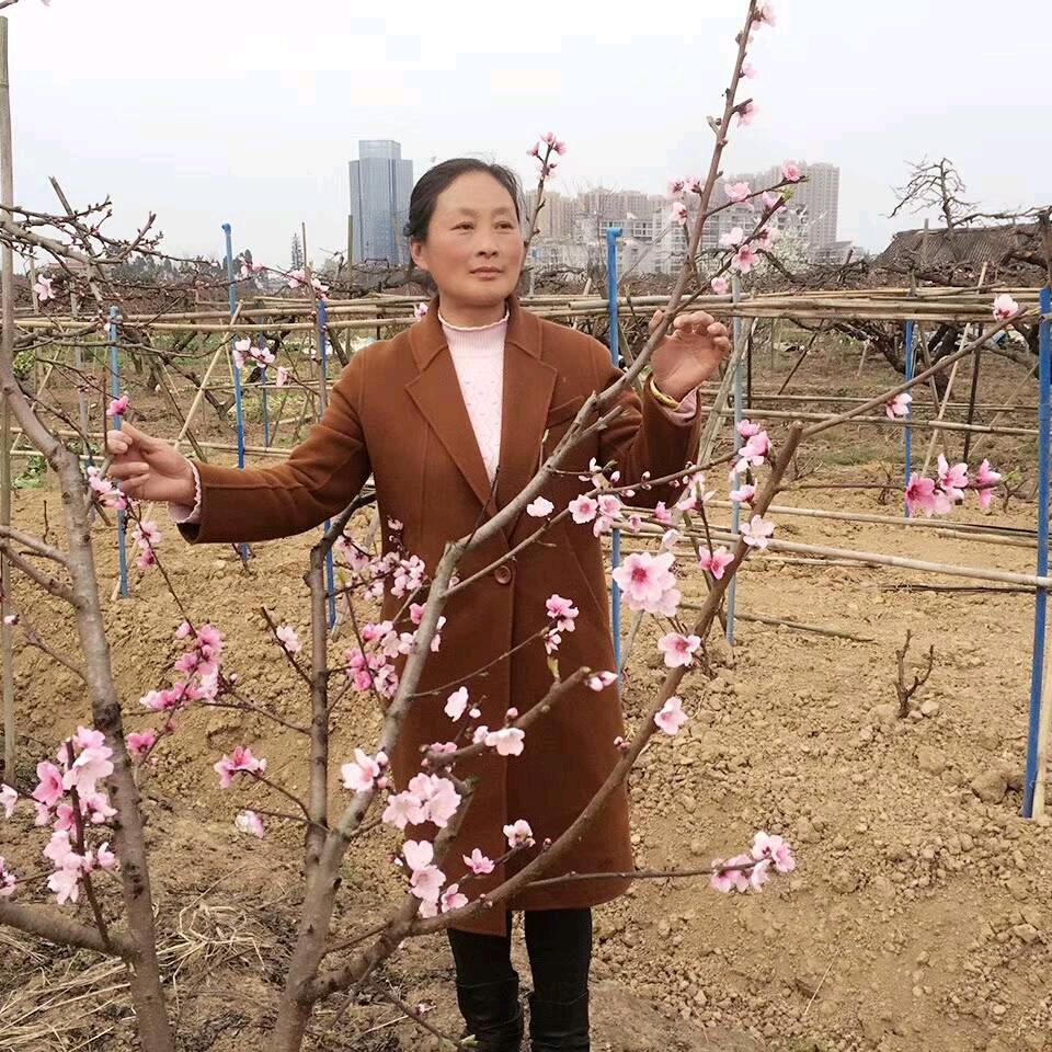 杨大姐