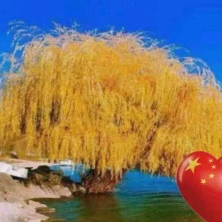 老冯小厨窗