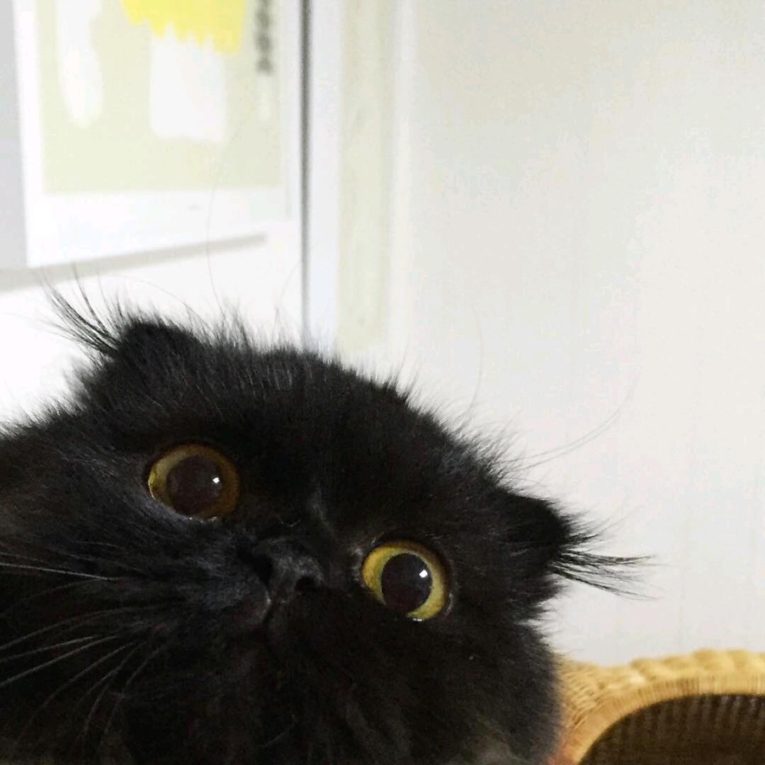 小满