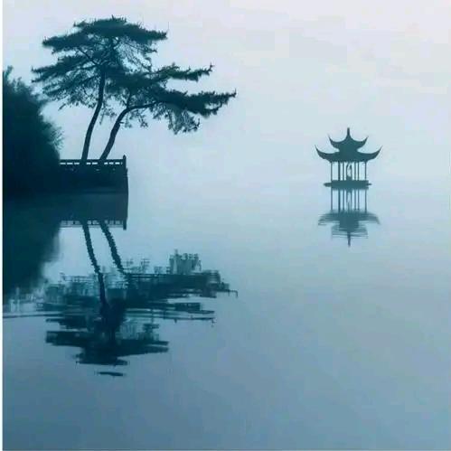 你肥你先吃