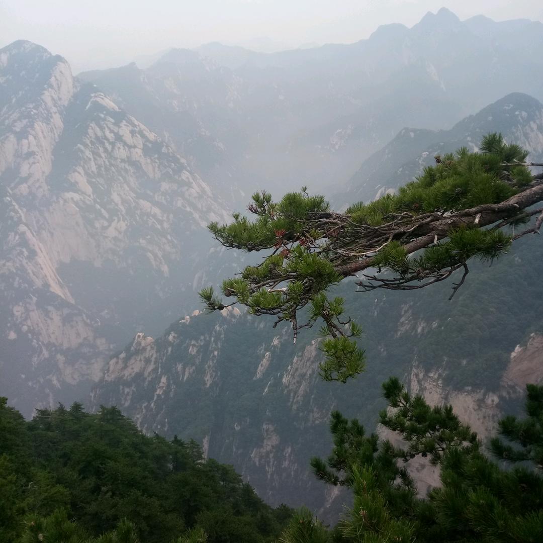 福韵养老